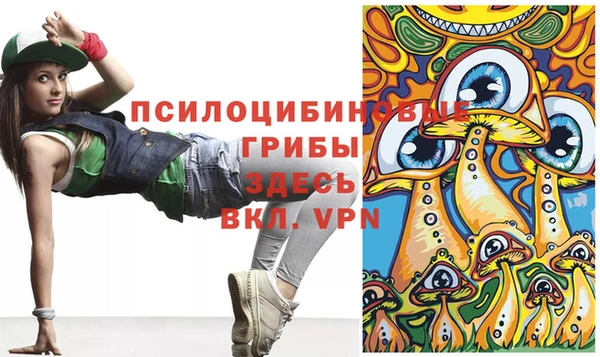 стафф Алексеевка