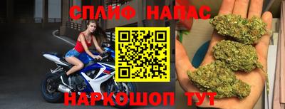 амф Кандалакша