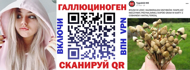 Псилоцибиновые грибы мухоморы  купить наркотики цена  Лабинск 