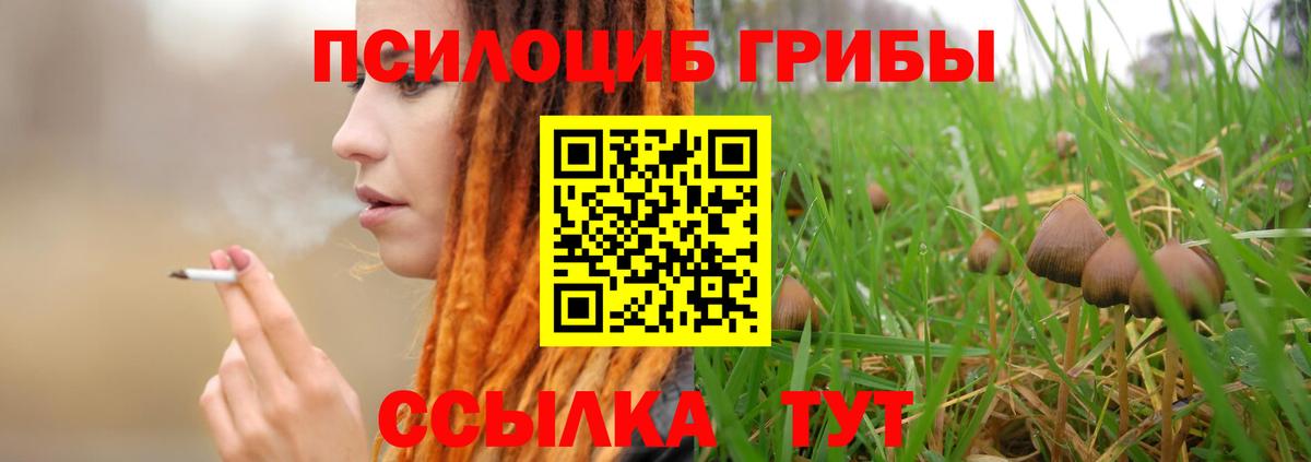 Псилоцибиновые грибы мухоморы Лабинск