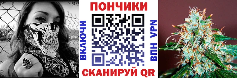 Каннабис сатива Лабинск